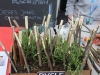 maker-faire-berlin-2017-158-brandbemalte-aeste