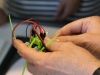 maker-faire-berlin-2017-286-variobot