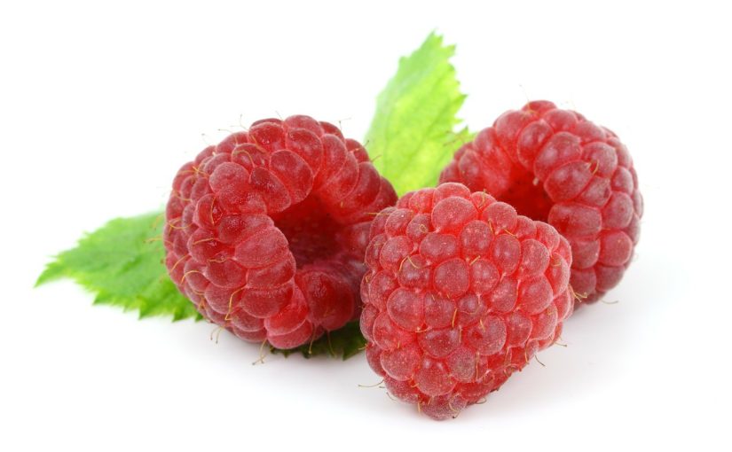 Raspberry Pi 1,3 Millionen Mal verkauft