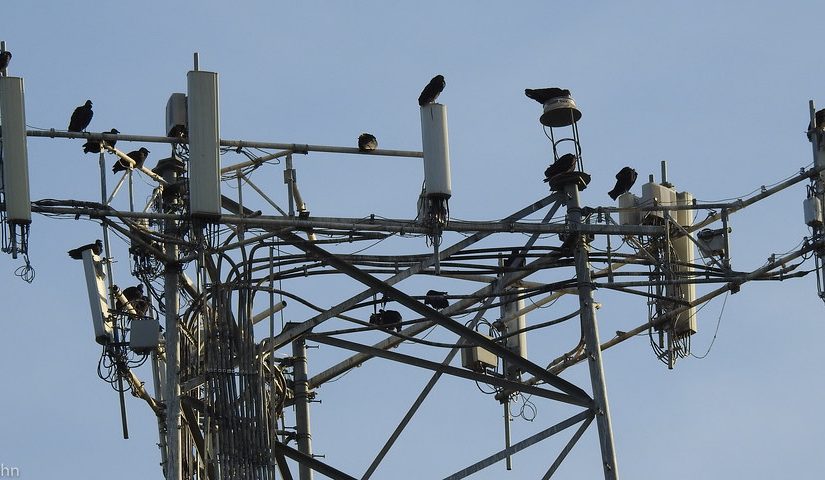 ZTE und E-Plus: Vorbereitung auf den Start von VoLTE laufen