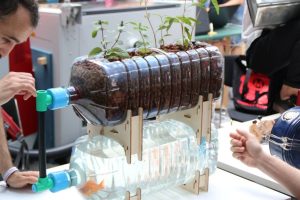 Maker faire berlin 2017 155 Mini Aquaponik System